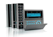 Dolor sit amet conse ctetur adipisicing